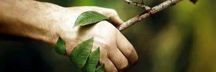 Treehugger8688's profile banner image
