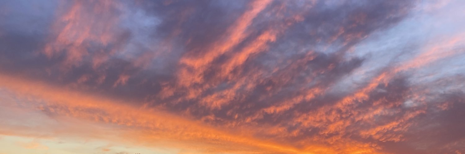 Carlee_Smiddy's profile banner image