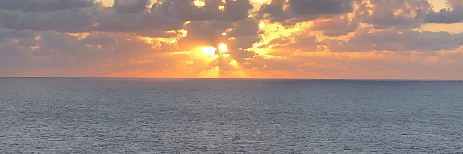 L_S_Kopp's profile banner image