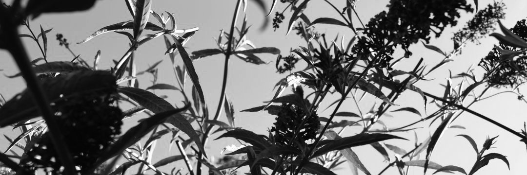 vreda19's profile banner image