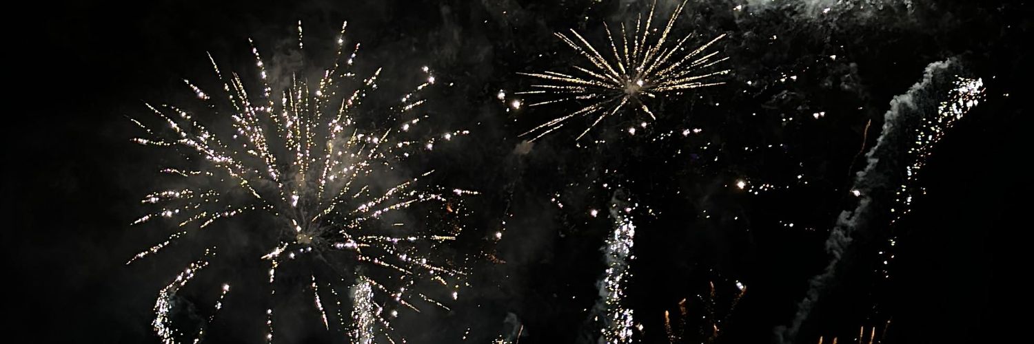 bellabrybri's profile banner image