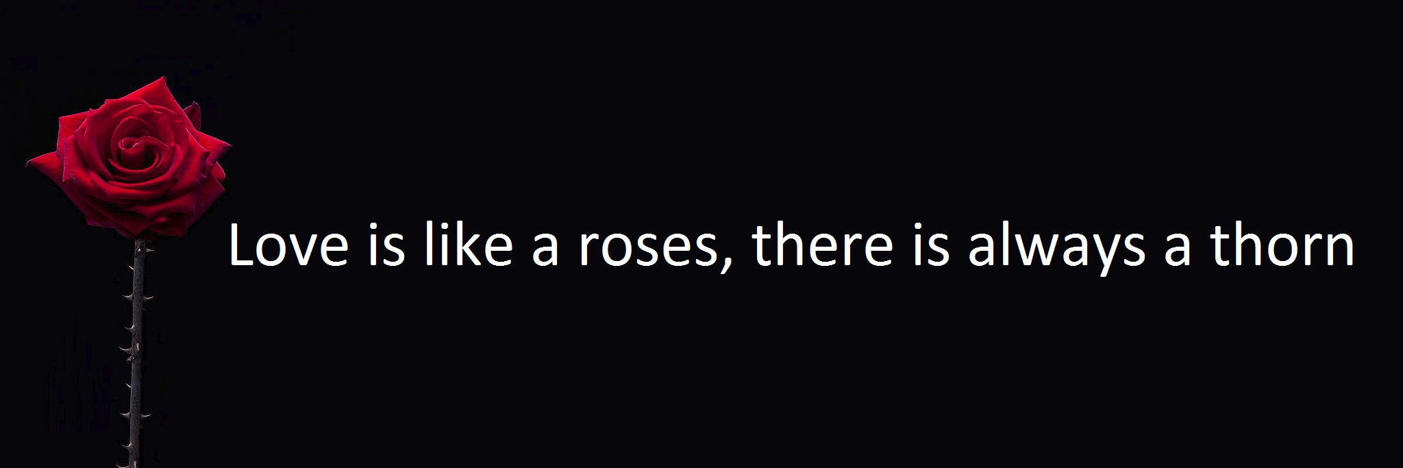 lusathannah's profile banner image