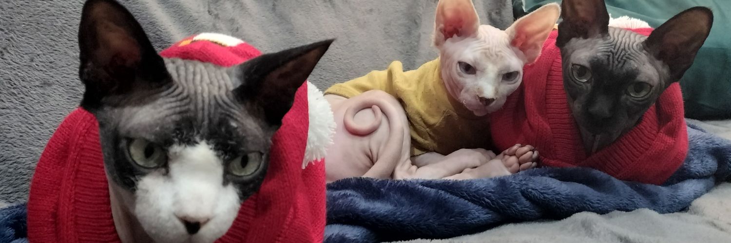 GemmaCervera's profile banner image