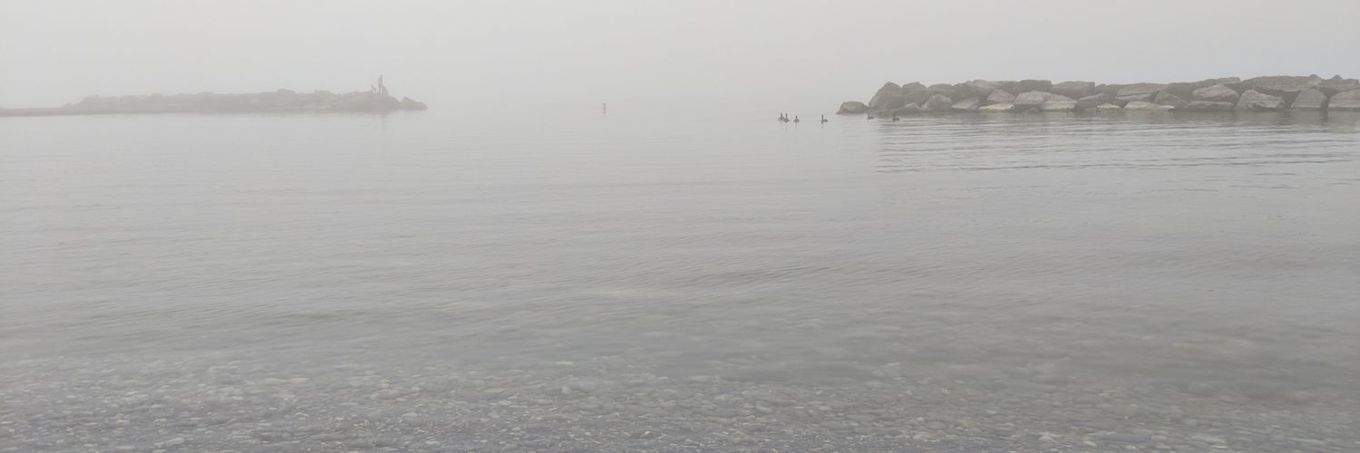 trueOntario's profile banner image