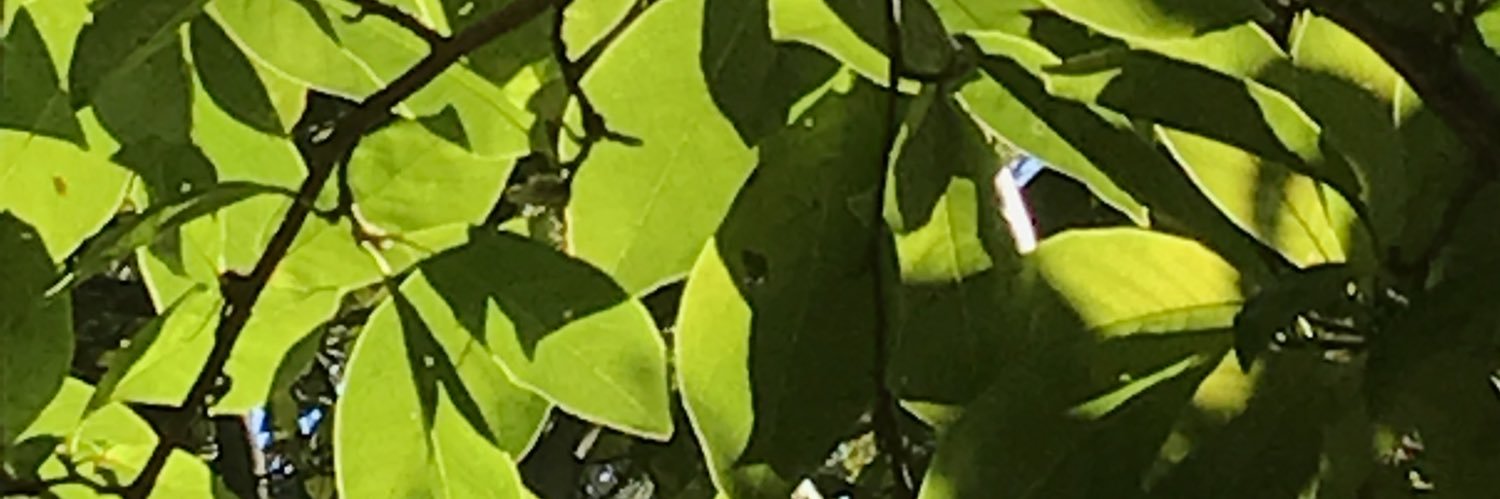 gaybeeez's profile banner image