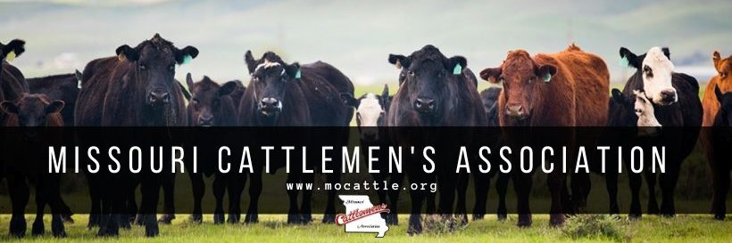 Missouri Cattlemen's banner