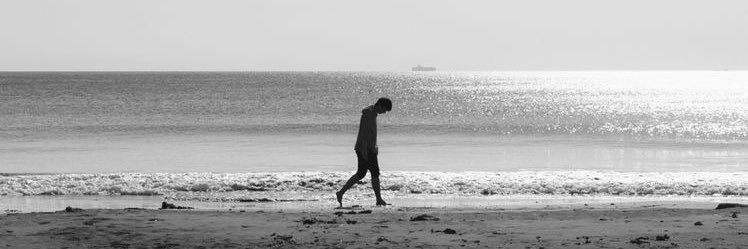 Noah. banner