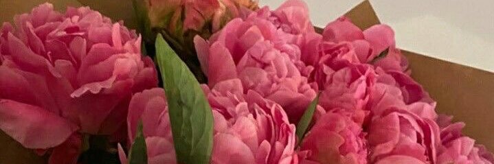 lyss_real's profile banner image