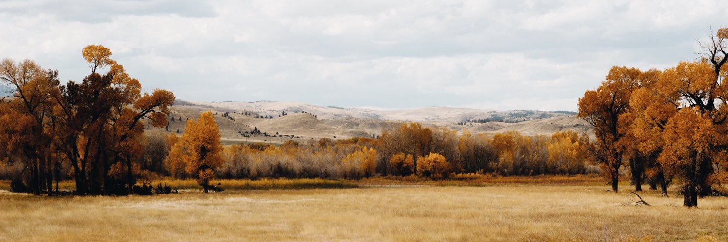 cassinnparks's profile banner image