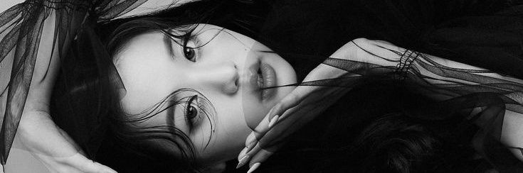 𝐟𝐢𝐧𝐧. banner