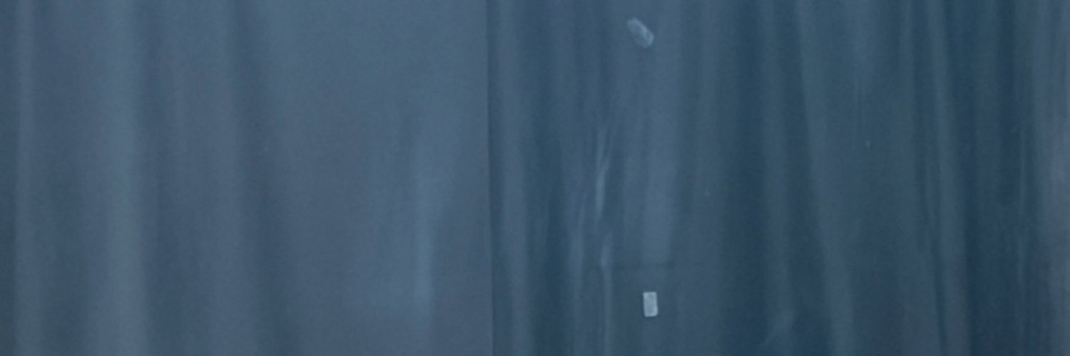 shimryuzin's profile banner image