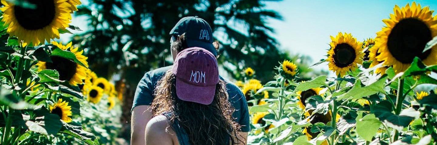 Roxy 🌻 banner