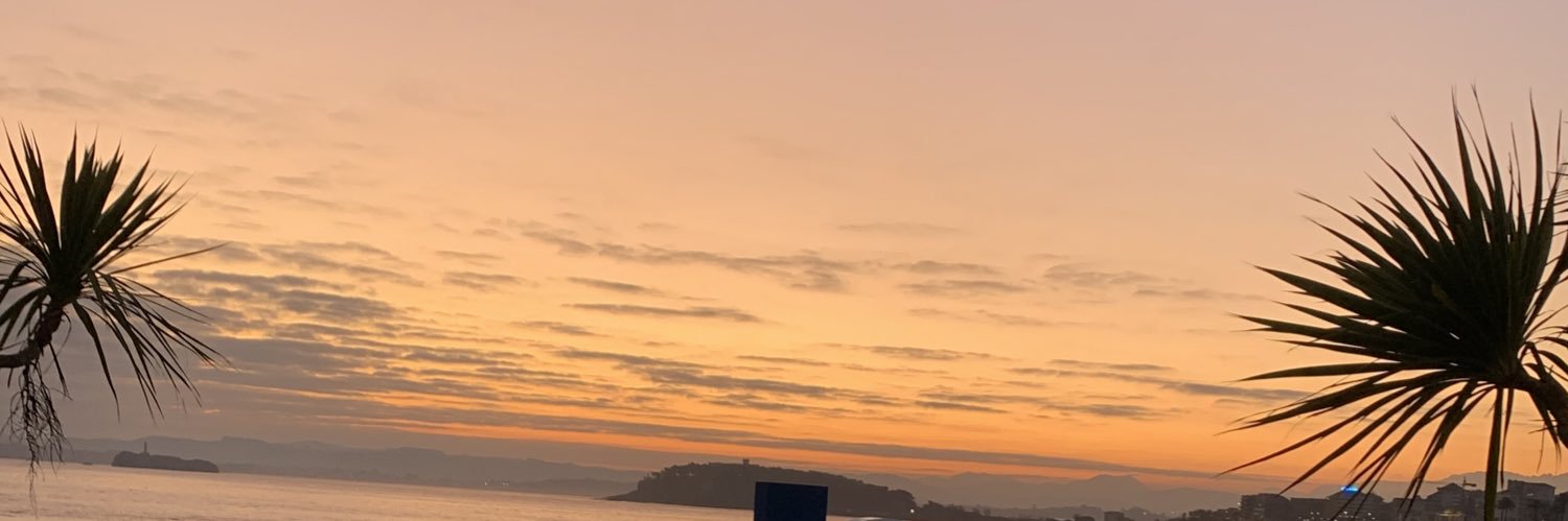 canaleees's profile banner image