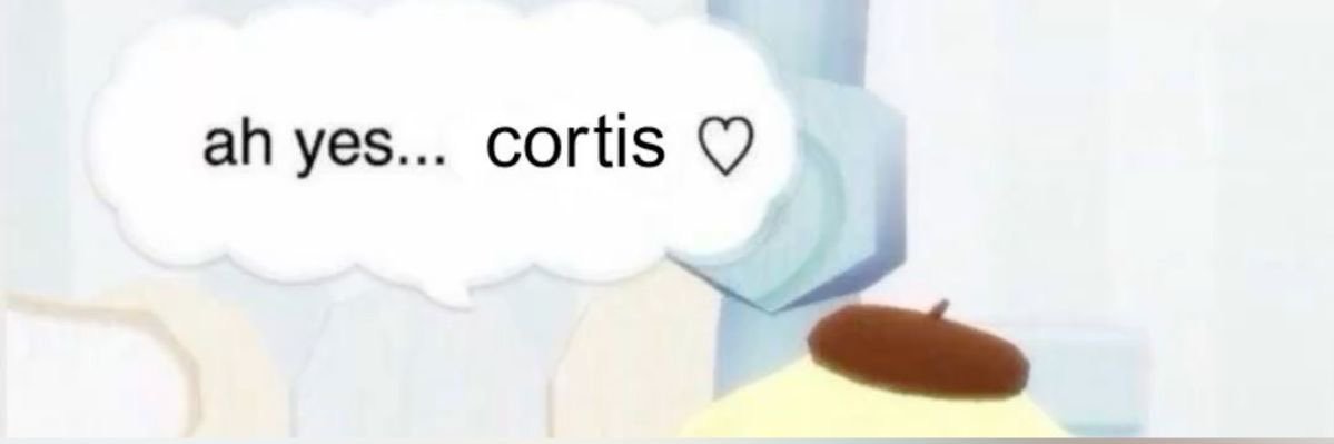colcect's profile banner image