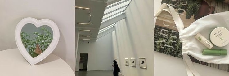 🍉 Teraa : follbackk banner