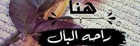 mohamedhames's profile banner image
