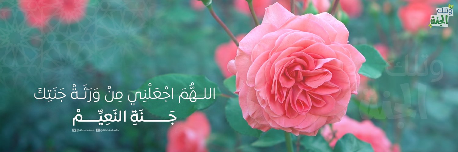 nanosweet2015's profile banner image