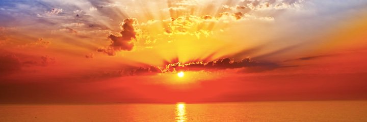 Neta Hayden Greene banner