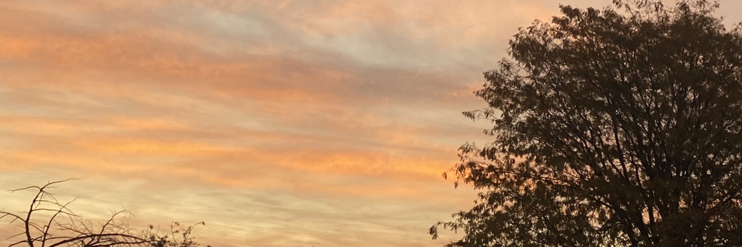 schmoopthoughts's profile banner image