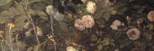 ay ✮ banner