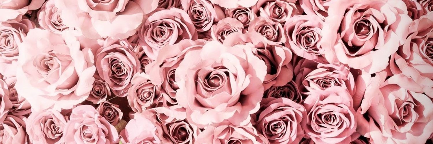 lauraescabosa's profile banner image