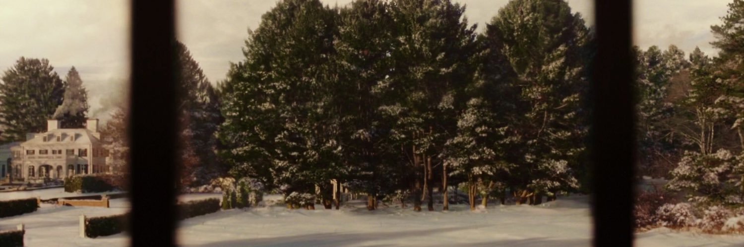 wolfhalamet's profile banner image