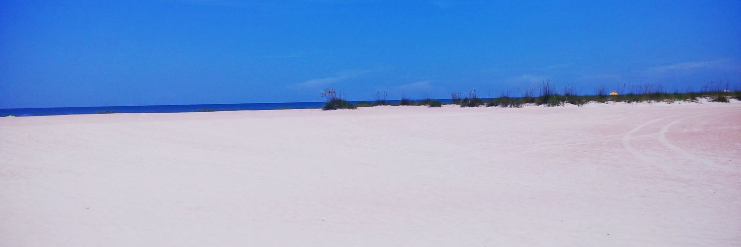 ScholteTimo's profile banner image