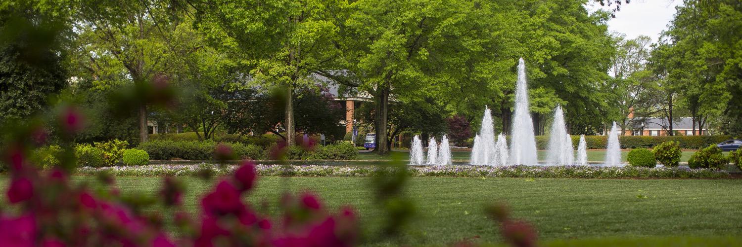 Elizabeth Davis banner