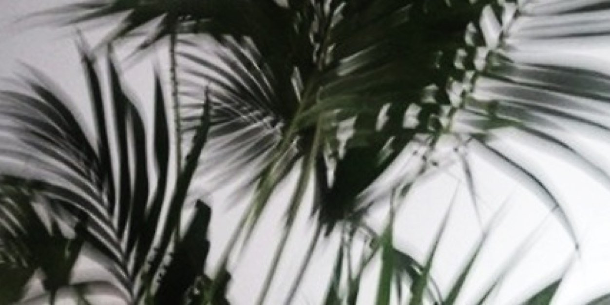 Madisoooonb's profile banner image