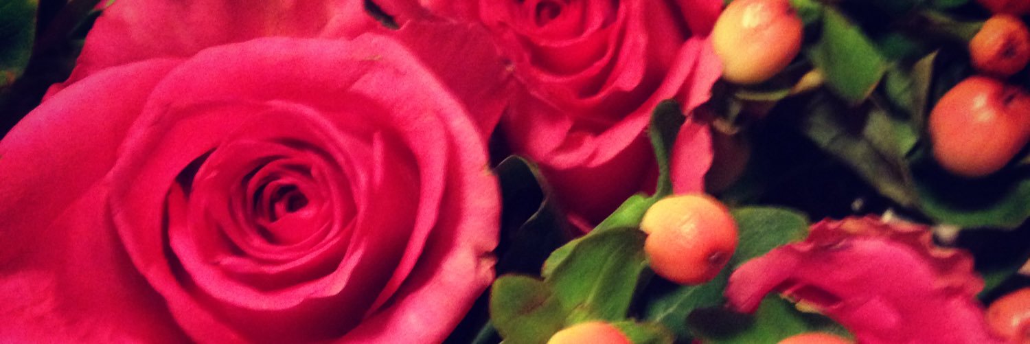 nikksofly77's profile banner image