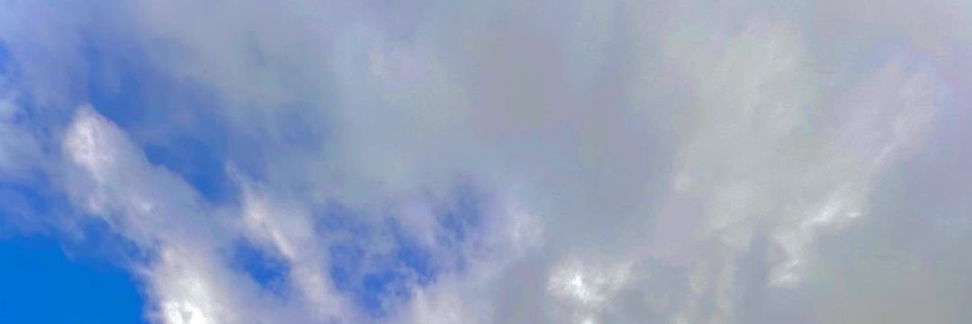fantasyfun_'s profile banner image