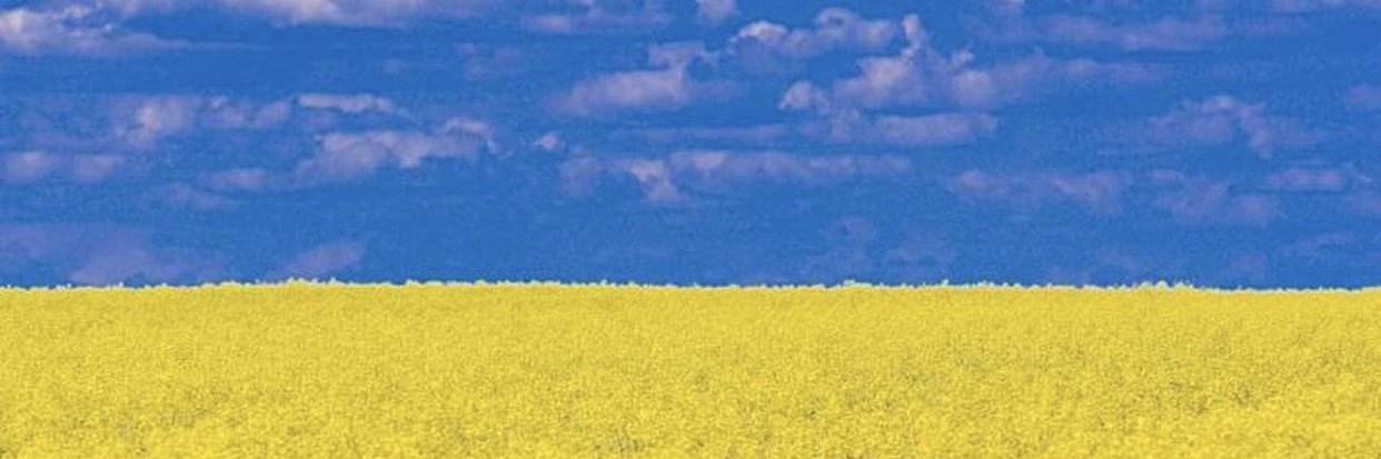quiett3's profile banner image