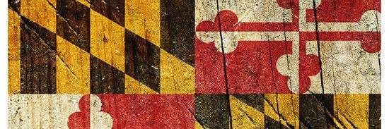 Caps_Girl1969's profile banner image
