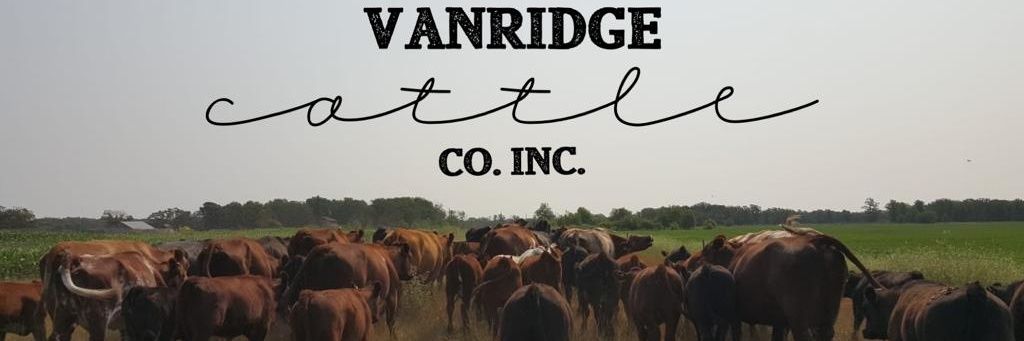 vanridge1's profile banner image