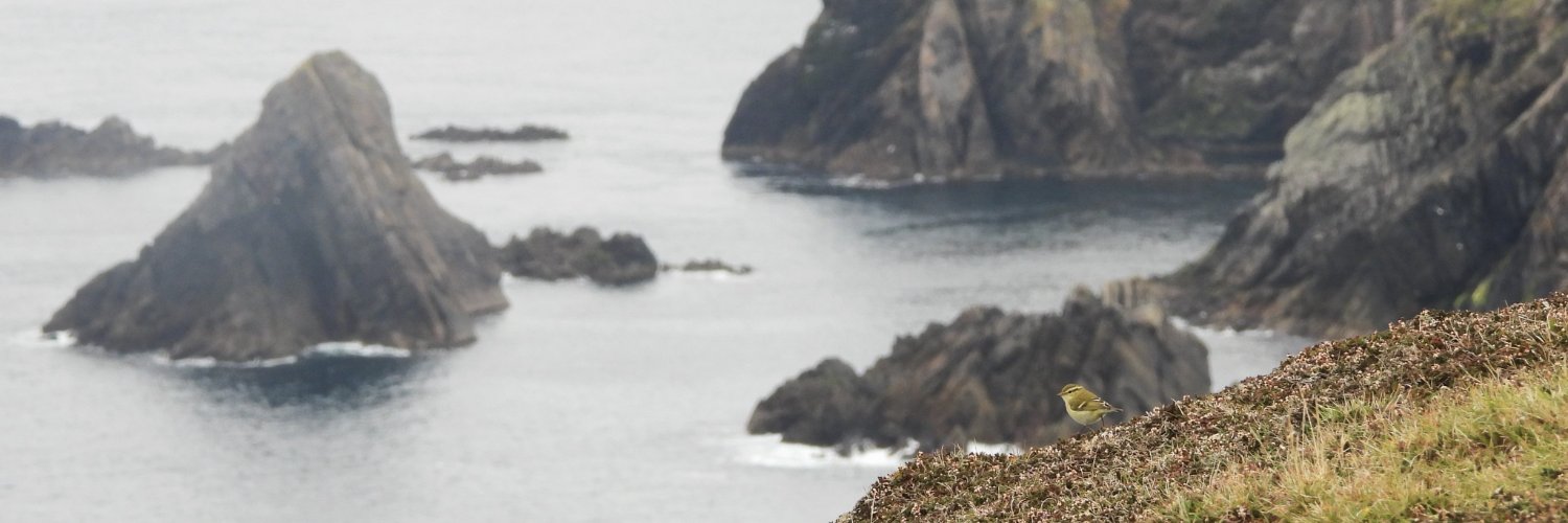Fair Isle Bird Observatory banner