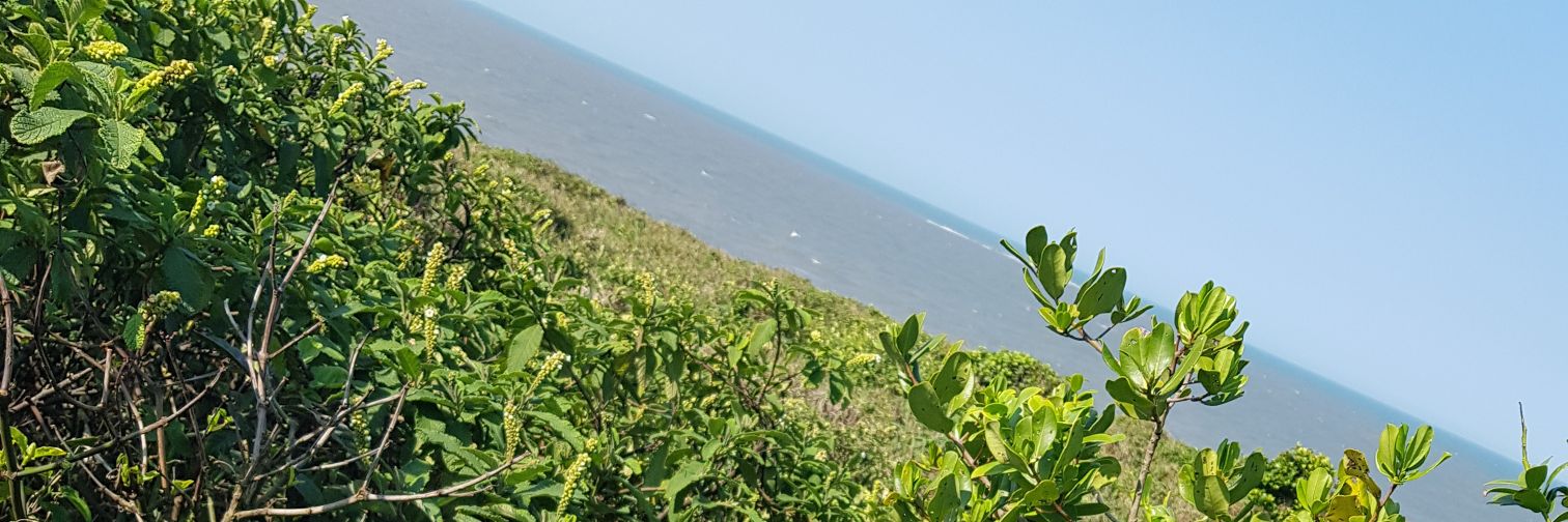 REINALDOSROD's profile banner image