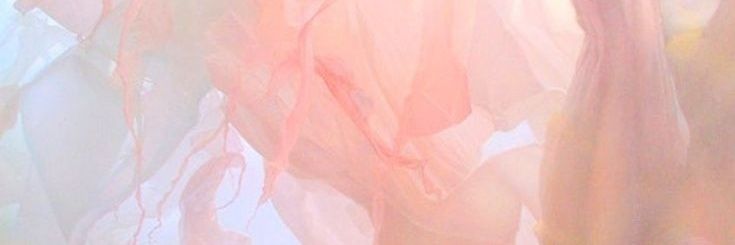 Estrella. banner