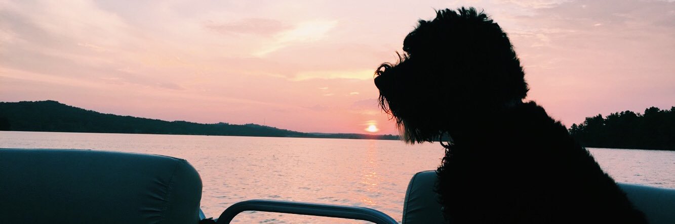 carriecramer11's profile banner image