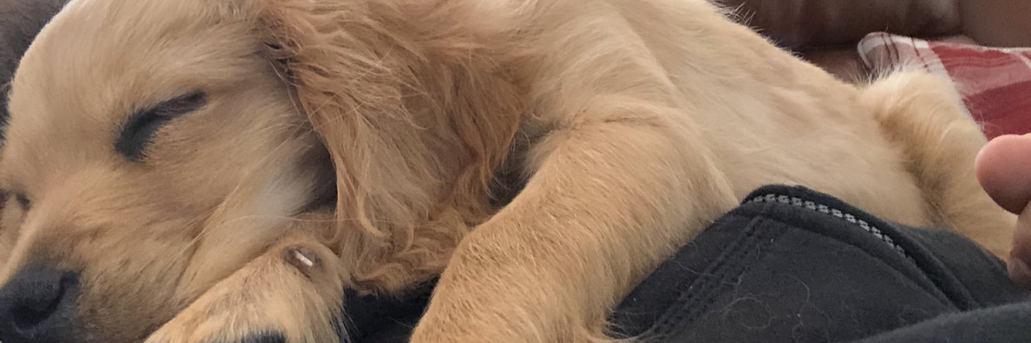 davemorris29's profile banner image