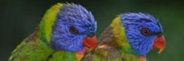BillyGantz's profile banner image