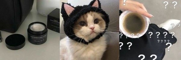 moyyaaa_ Profile Banner