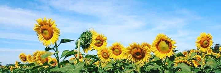 praw1804's profile banner image
