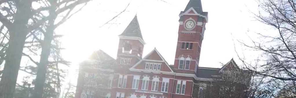 annie_lee_3's profile banner image