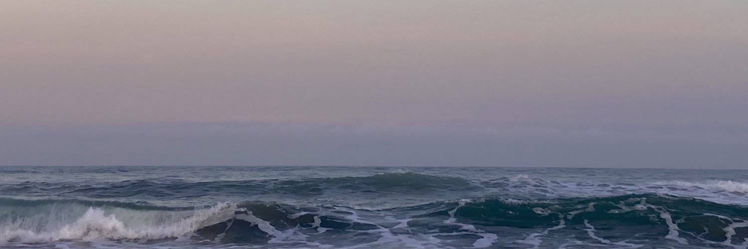 zrcdms's profile banner image