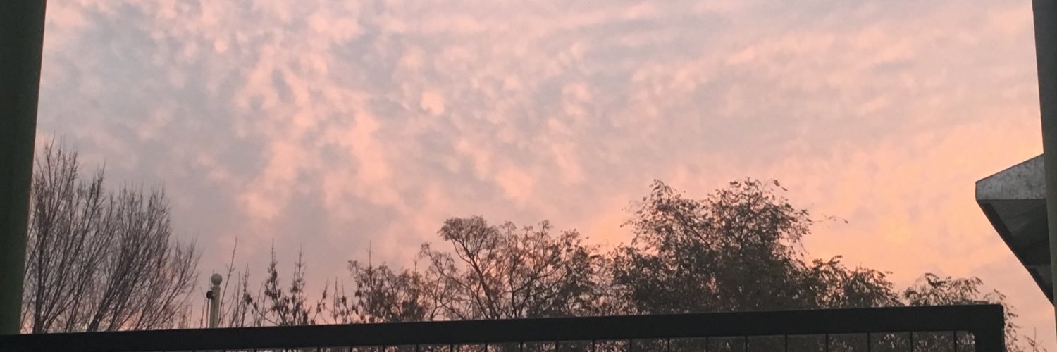 _martinaperlo's profile banner image