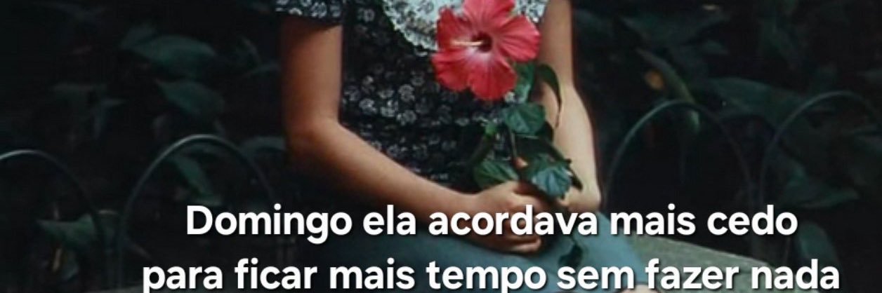 Fernanda banner