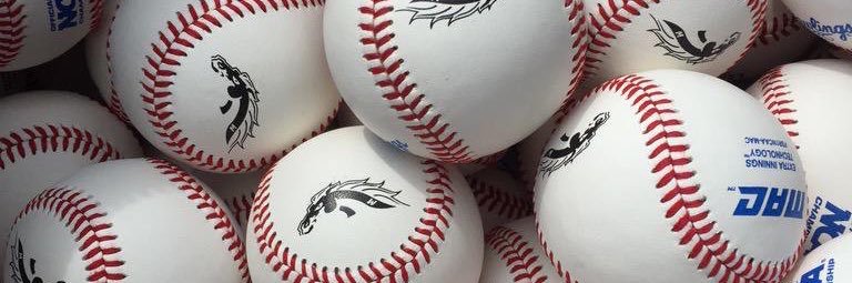 stevelaud18's profile banner image