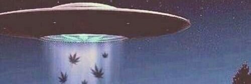 LukasCuervo1's profile banner image