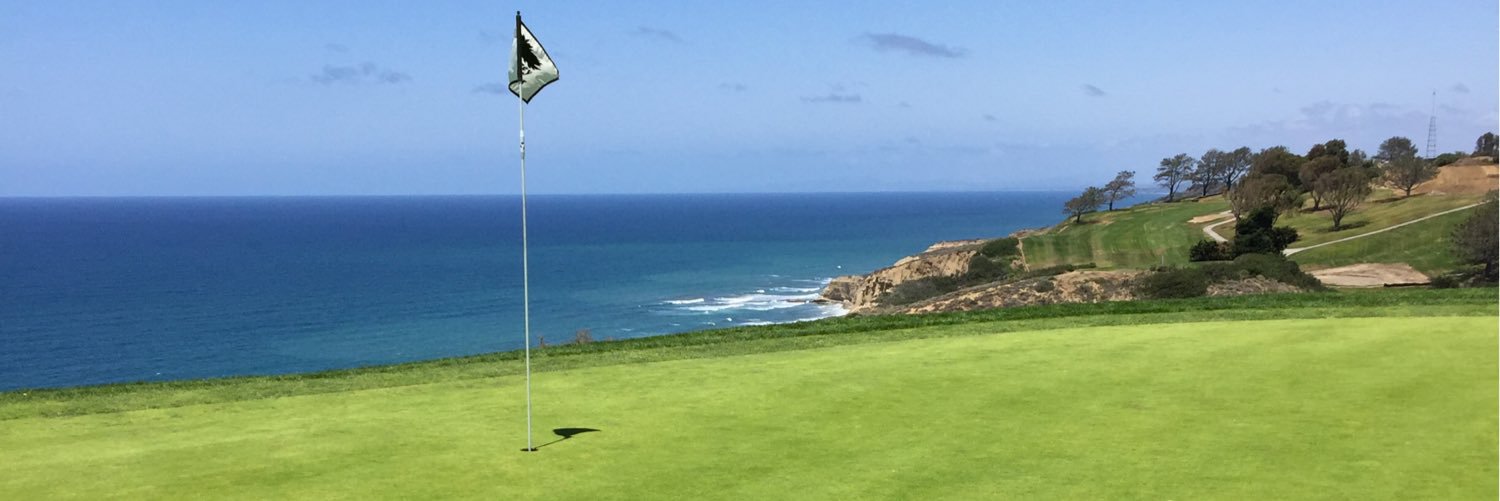 Patrick Ryan Grant banner