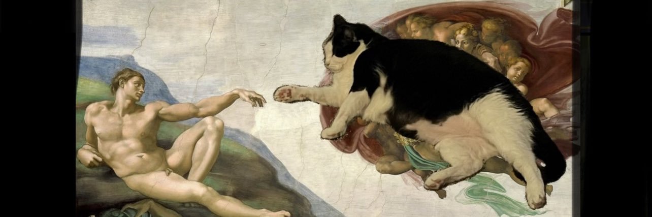 catnipblunt's profile banner image